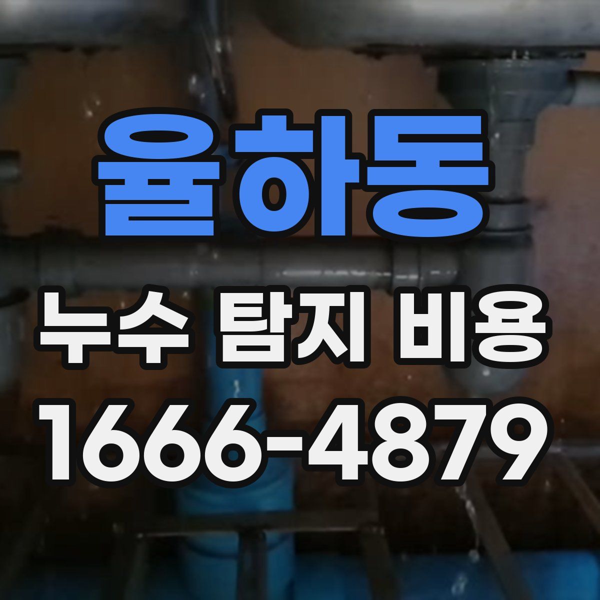 율하동 누수 탐지 비용