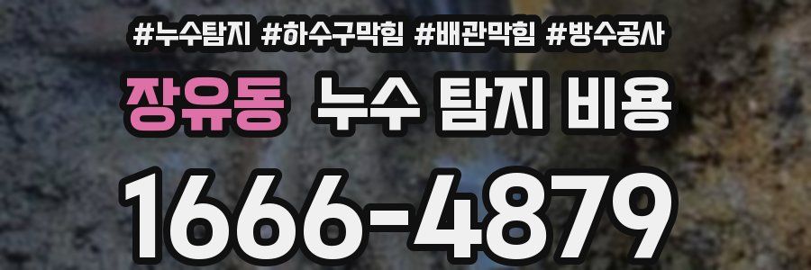 장유동 누수 탐지 비용