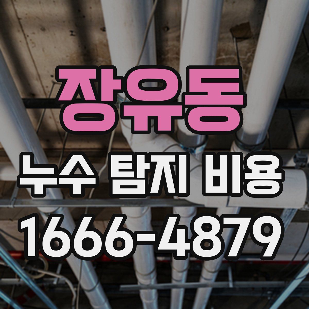 장유동 누수 탐지 비용