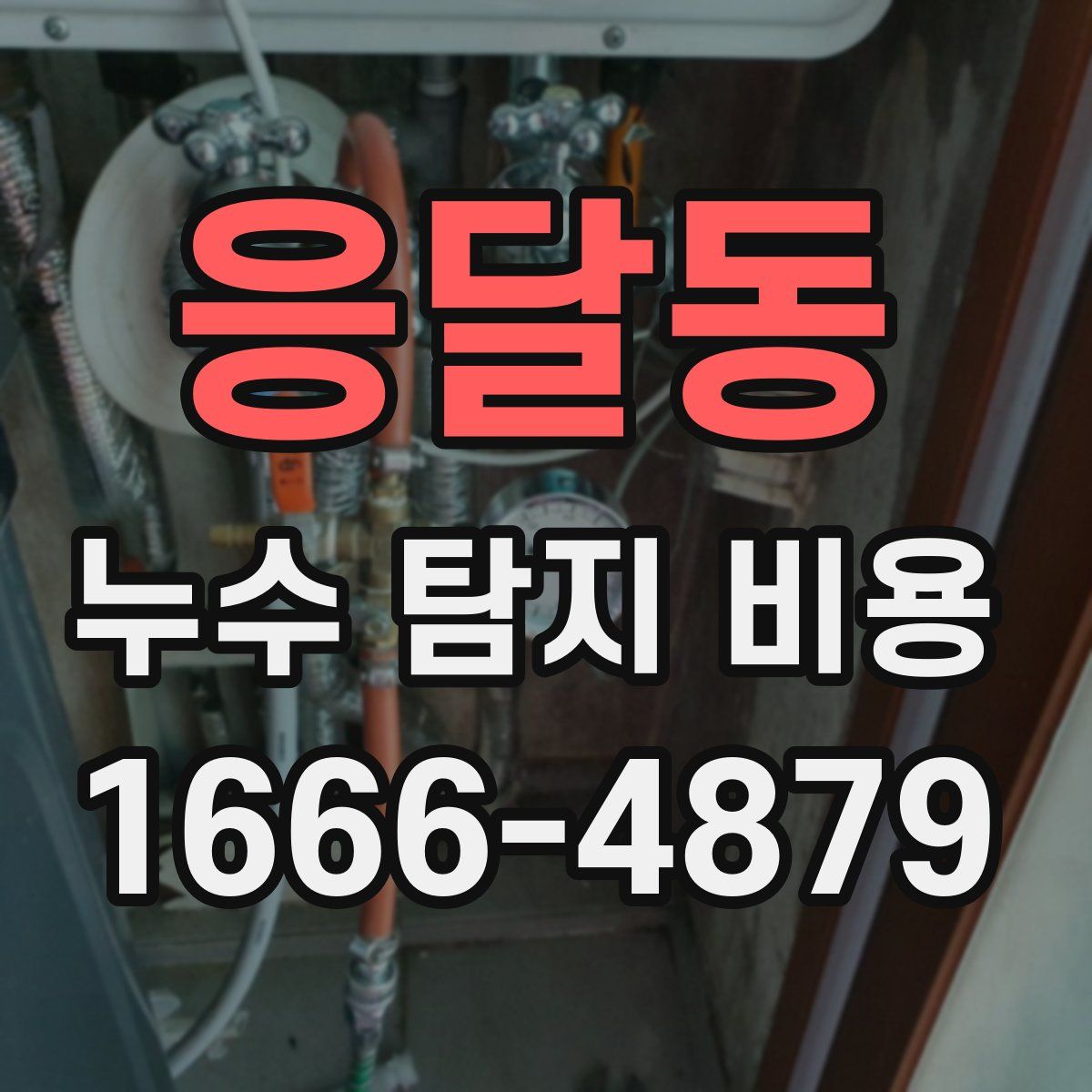 응달동 누수 탐지 비용