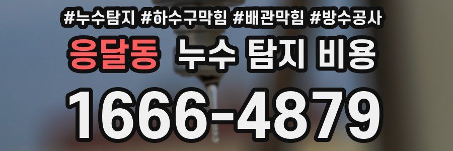 응달동 누수 탐지 비용