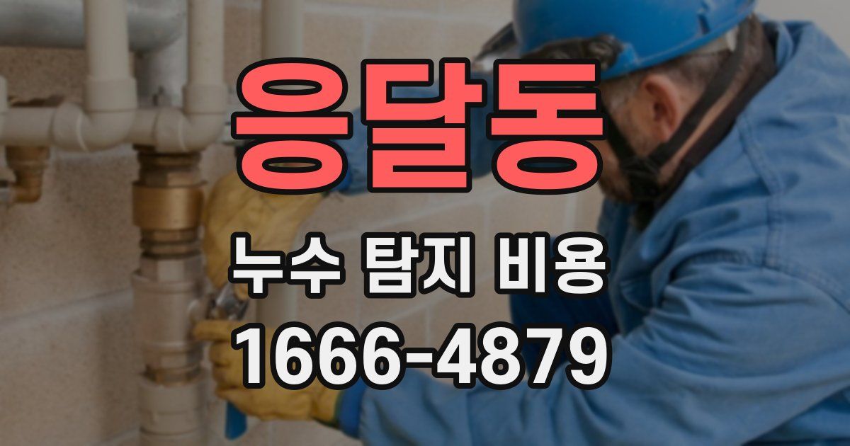 응달동 누수 탐지 비용