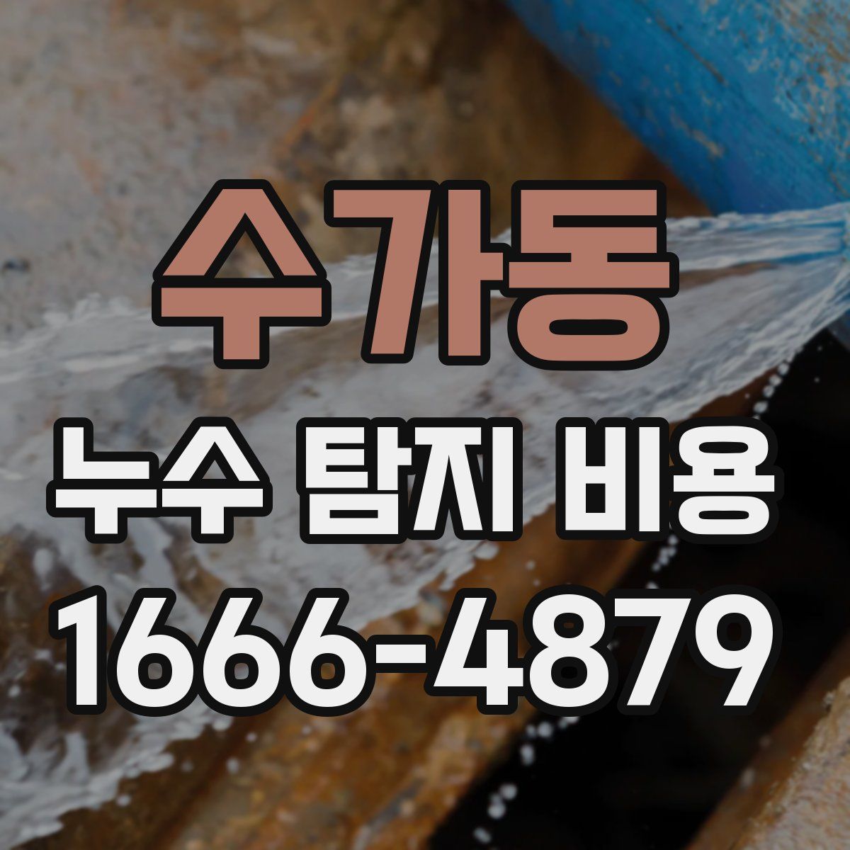 수가동 누수 탐지 비용
