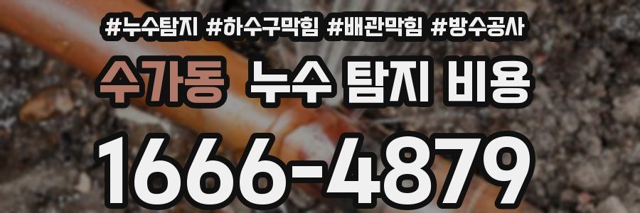 수가동 누수 탐지 비용