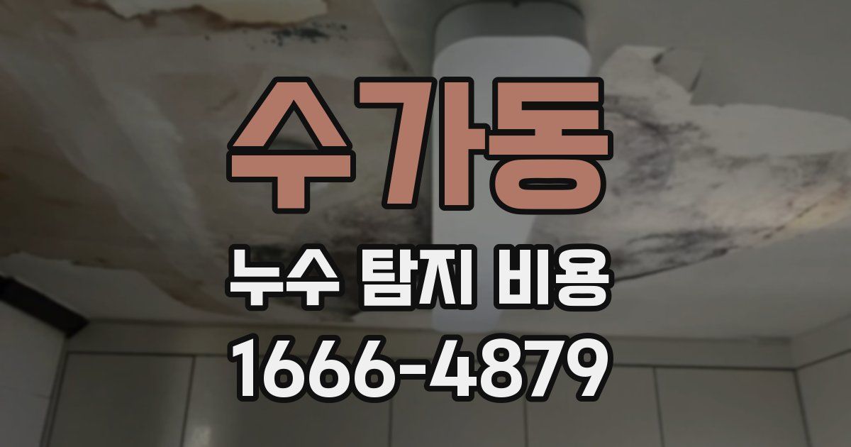 수가동 누수 탐지 비용