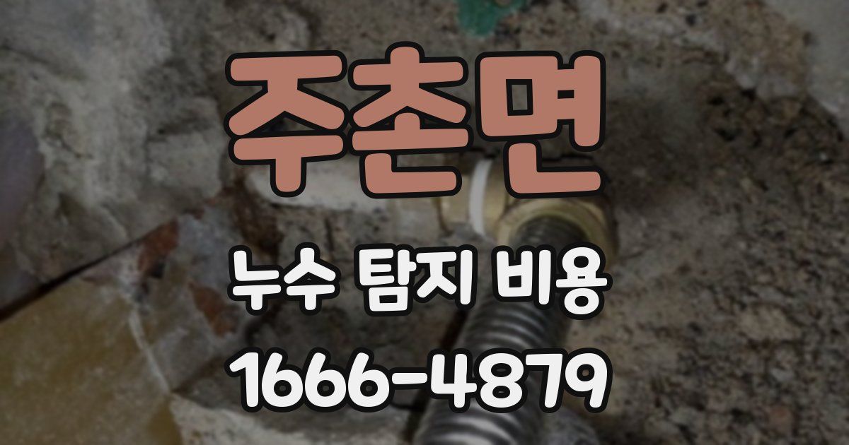 주촌면 누수 탐지 비용