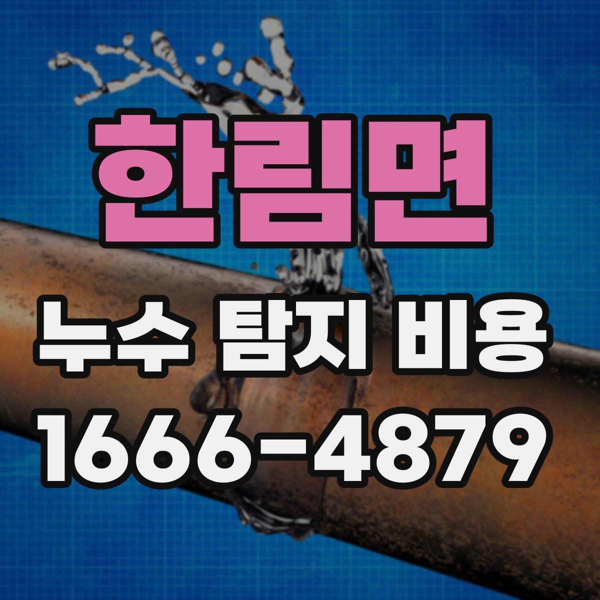 한림면 누수 탐지 비용