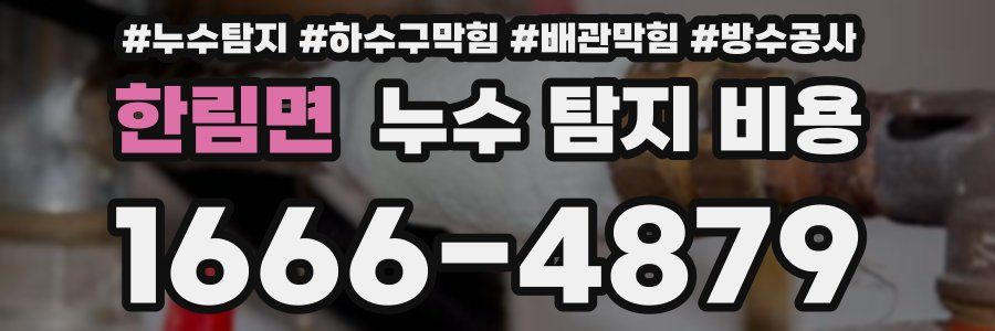 한림면 누수 탐지 비용