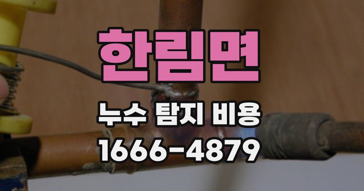 한림면 누수 탐지 비용