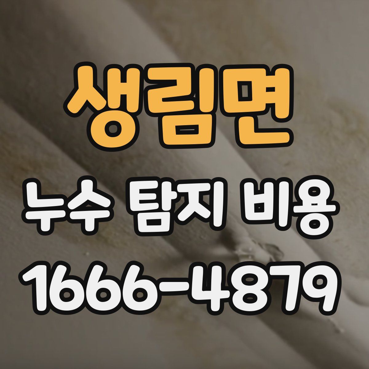 생림면 누수 탐지 비용