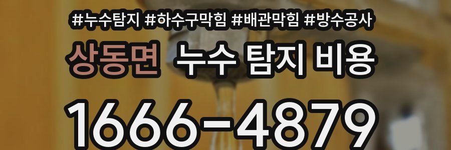 상동면 누수 탐지 비용