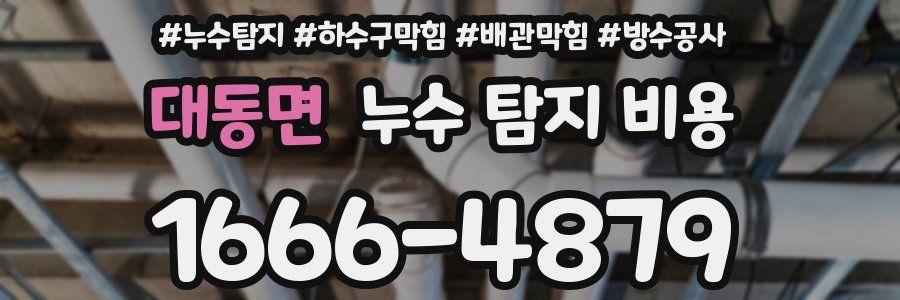 대동면 누수 탐지 비용