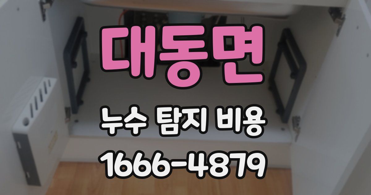대동면 누수 탐지 비용