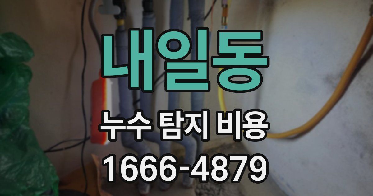 내일동 누수 탐지 비용