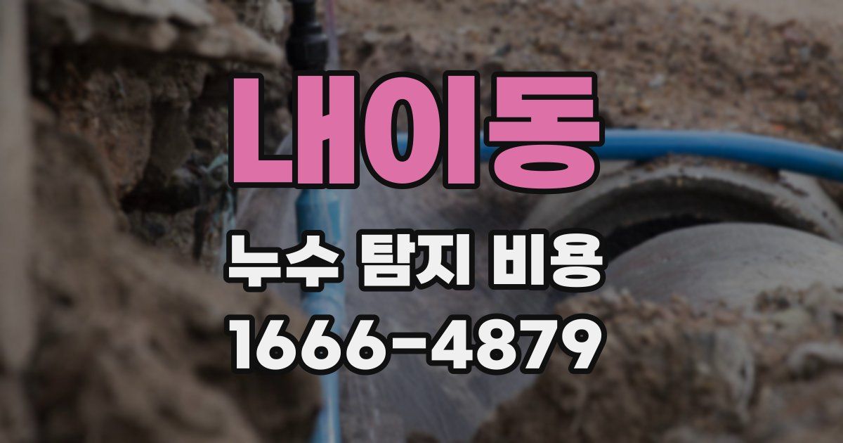 내이동 누수 탐지 비용