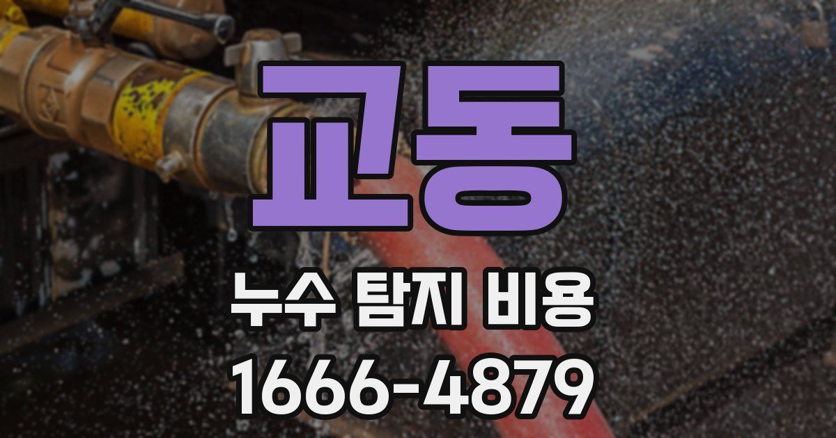 교동 누수 탐지 비용