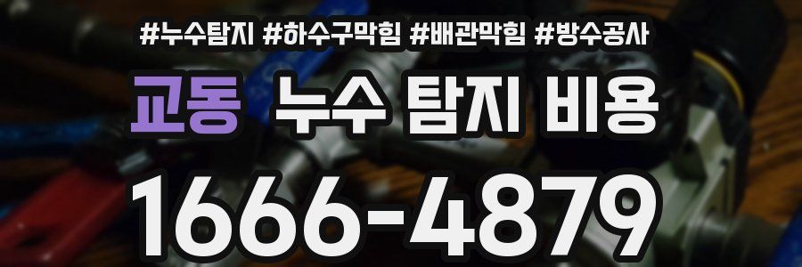 교동 누수 탐지 비용