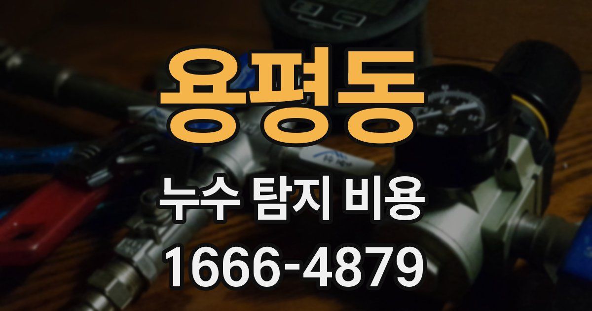 용평동 누수 탐지 비용