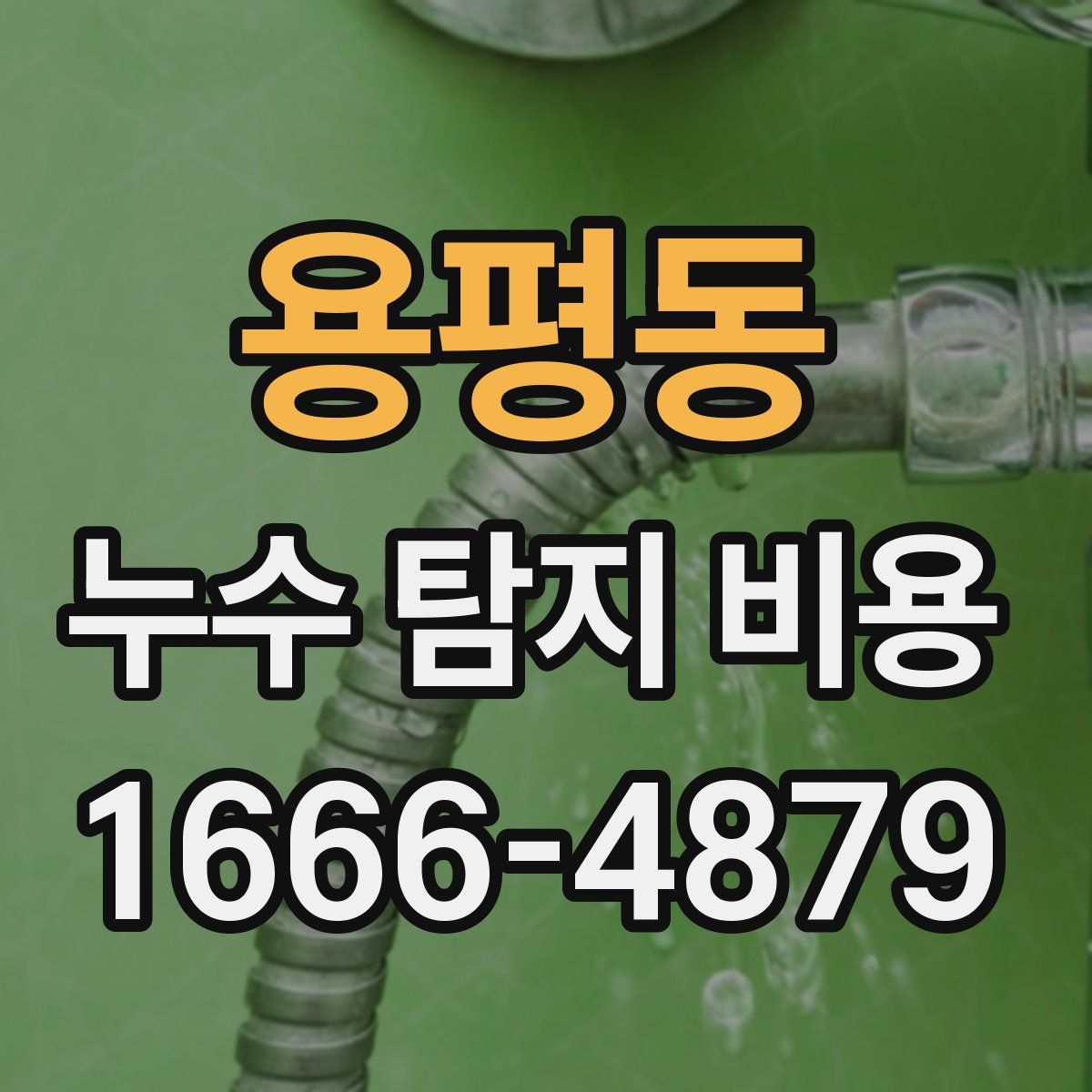 용평동 누수 탐지 비용