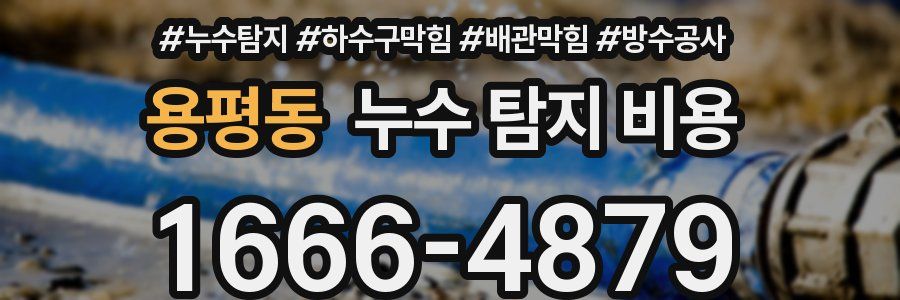 용평동 누수 탐지 비용
