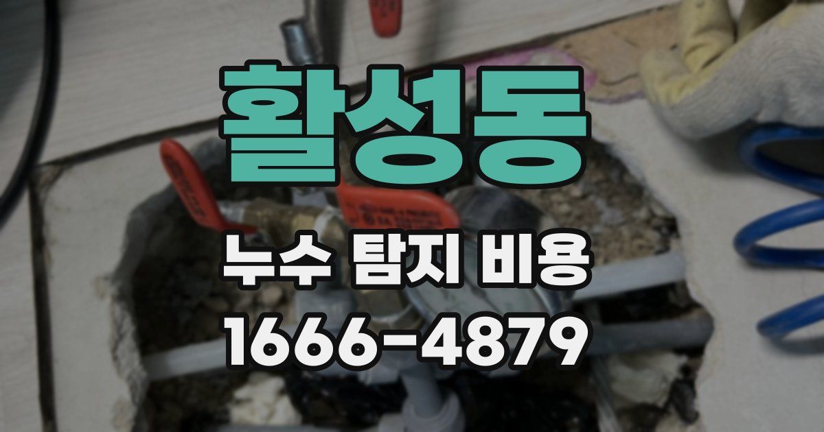 활성동 누수 탐지 비용