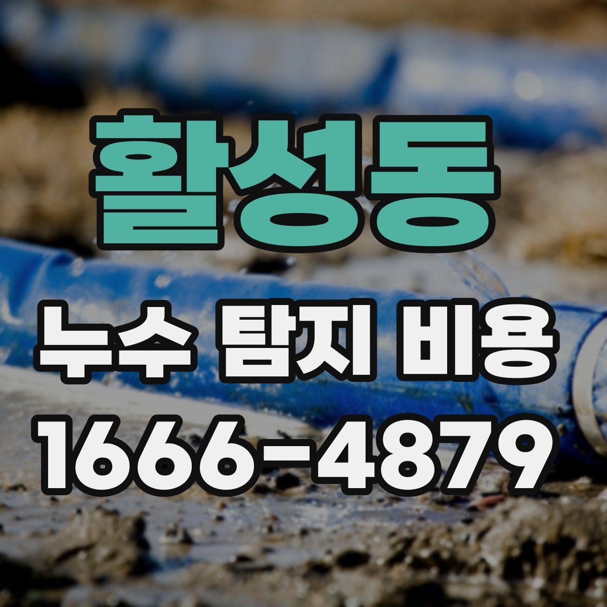 활성동 누수 탐지 비용
