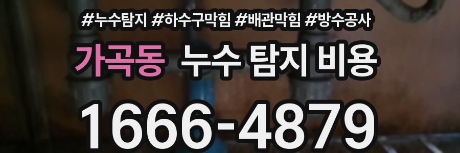 가곡동 누수 탐지 비용