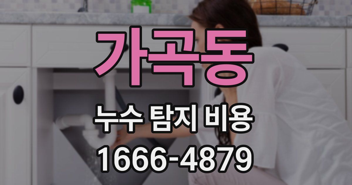 가곡동 누수 탐지 비용