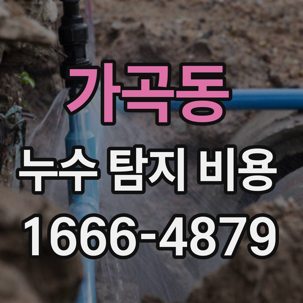 가곡동 누수 탐지 비용