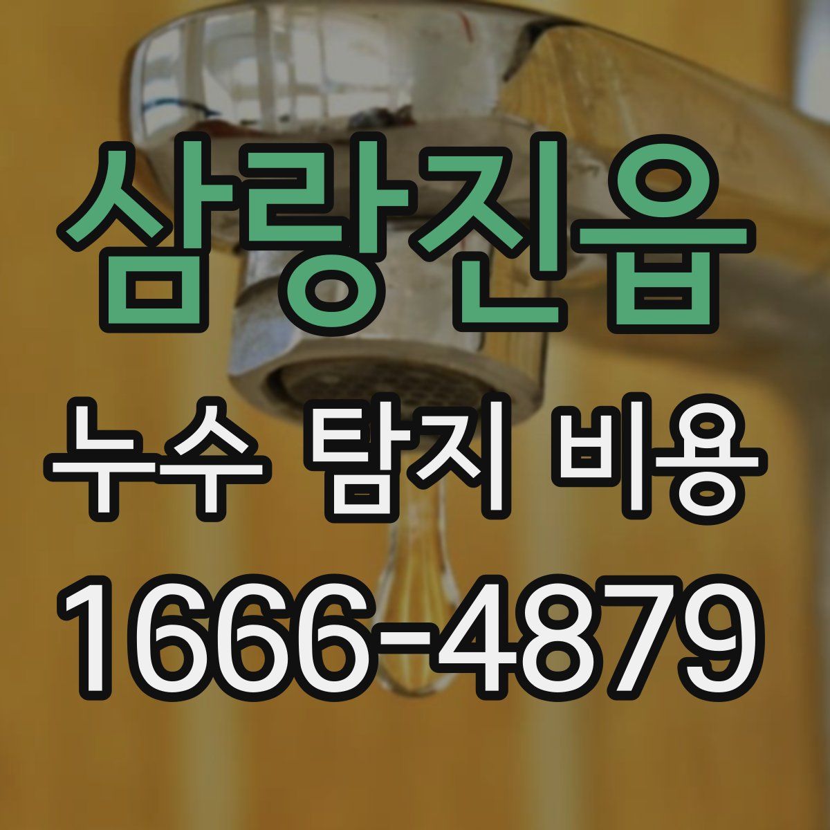 삼랑진읍 누수 탐지 비용