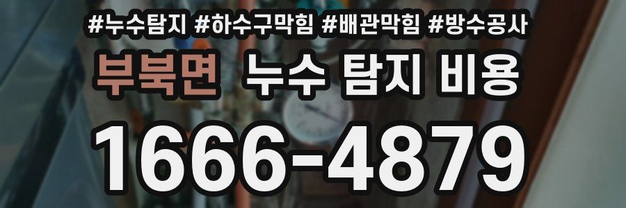 부북면 누수 탐지 비용
