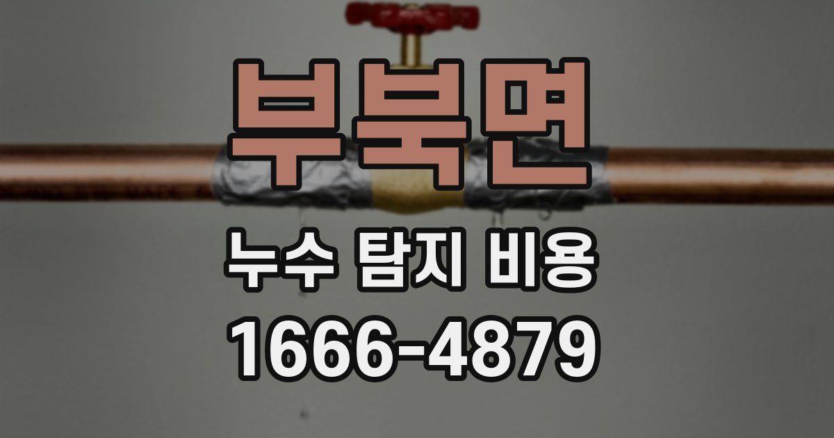 부북면 누수 탐지 비용