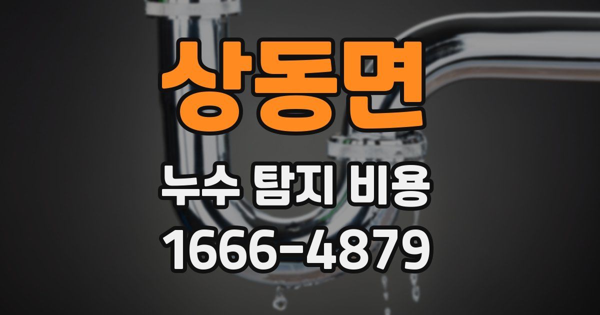 상동면 누수 탐지 비용