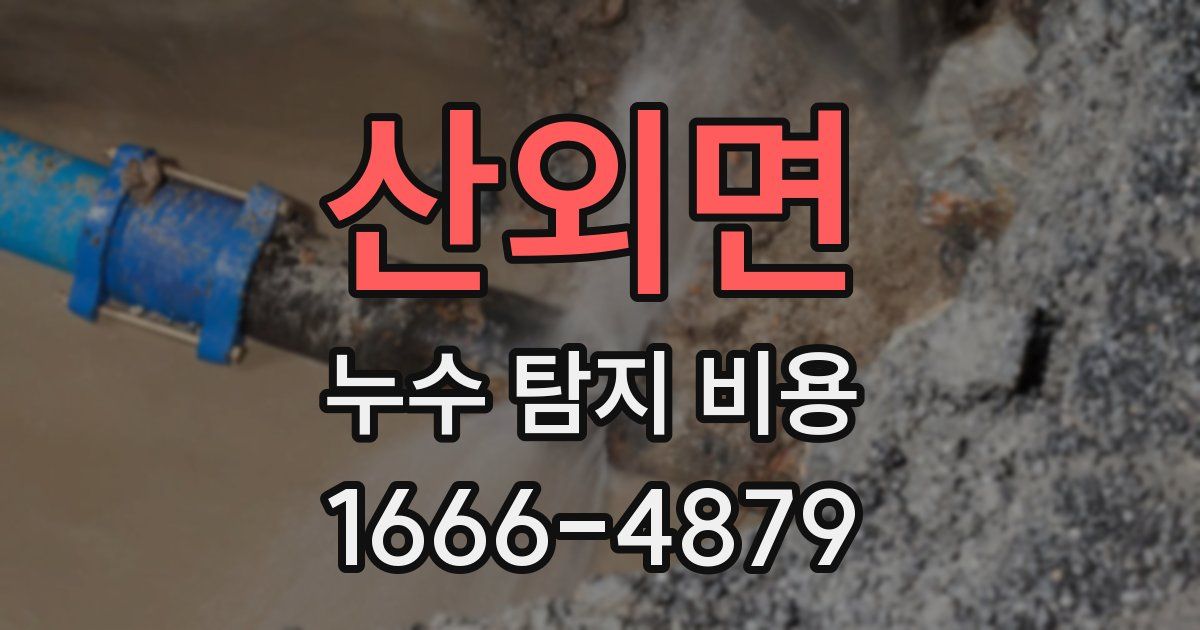 산외면 누수 탐지 비용