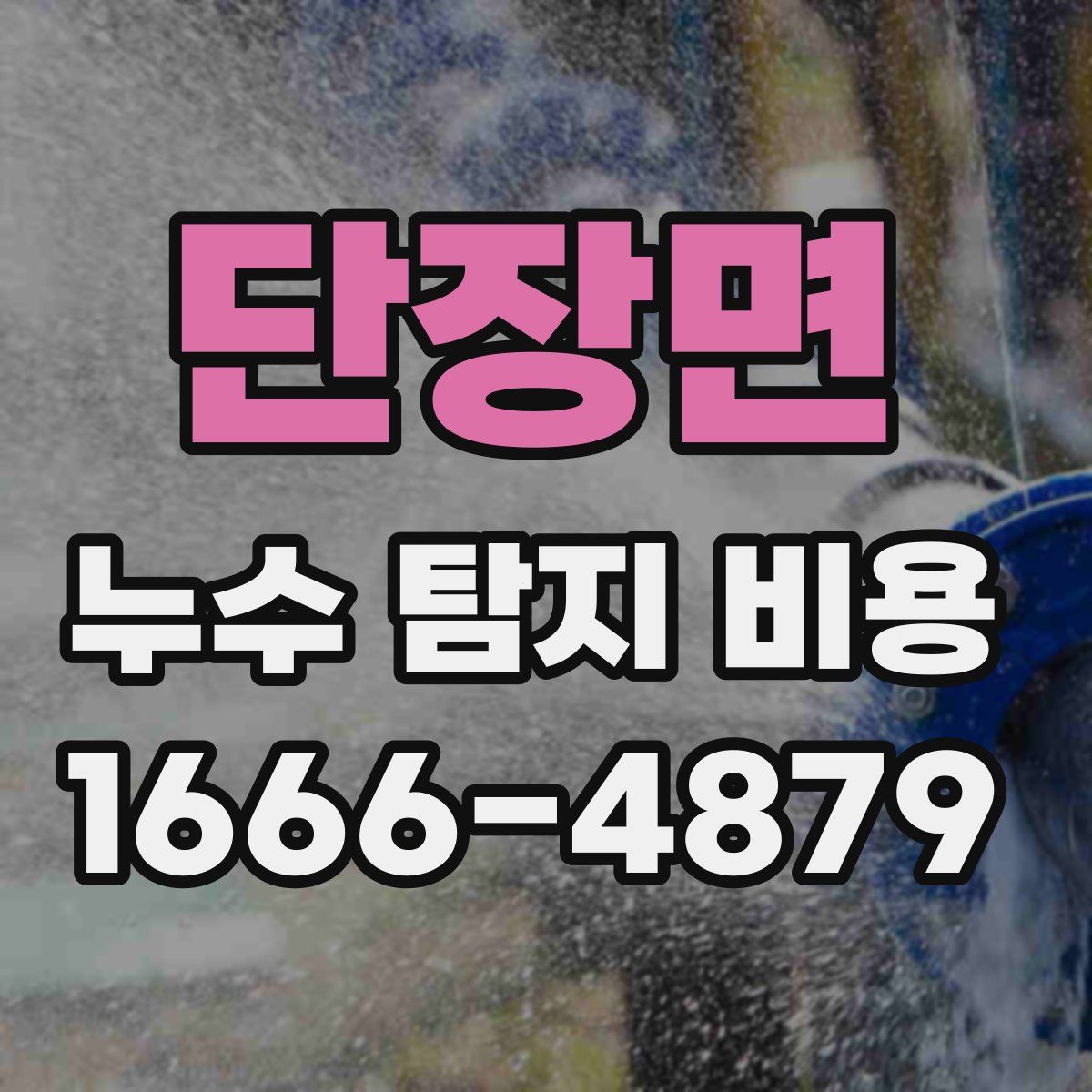 단장면 누수 탐지 비용