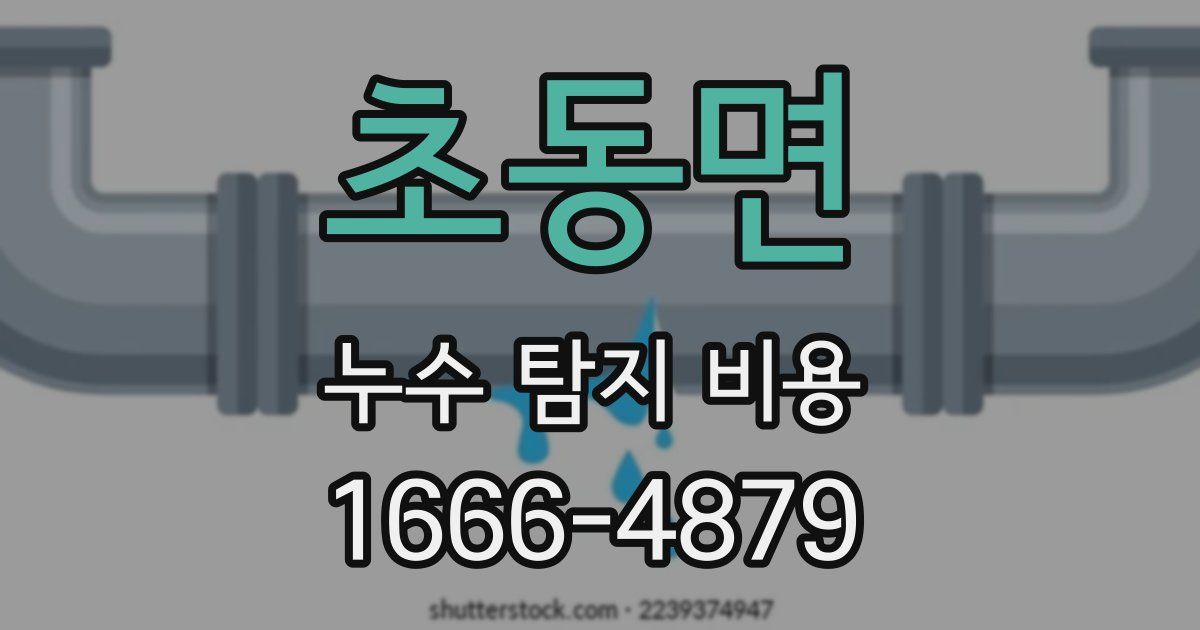 초동면 누수 탐지 비용