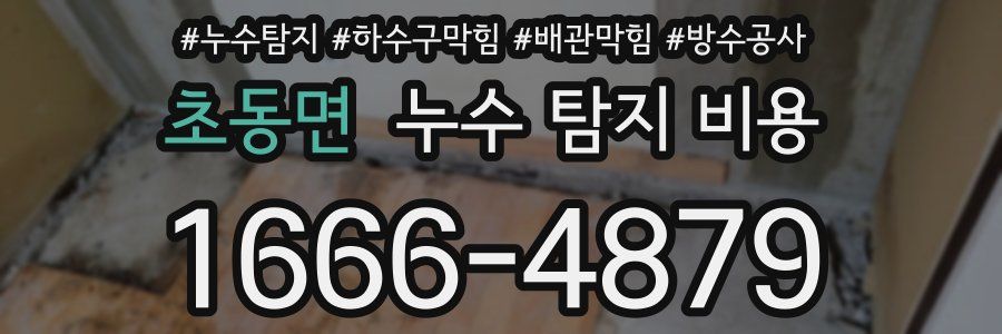 초동면 누수 탐지 비용