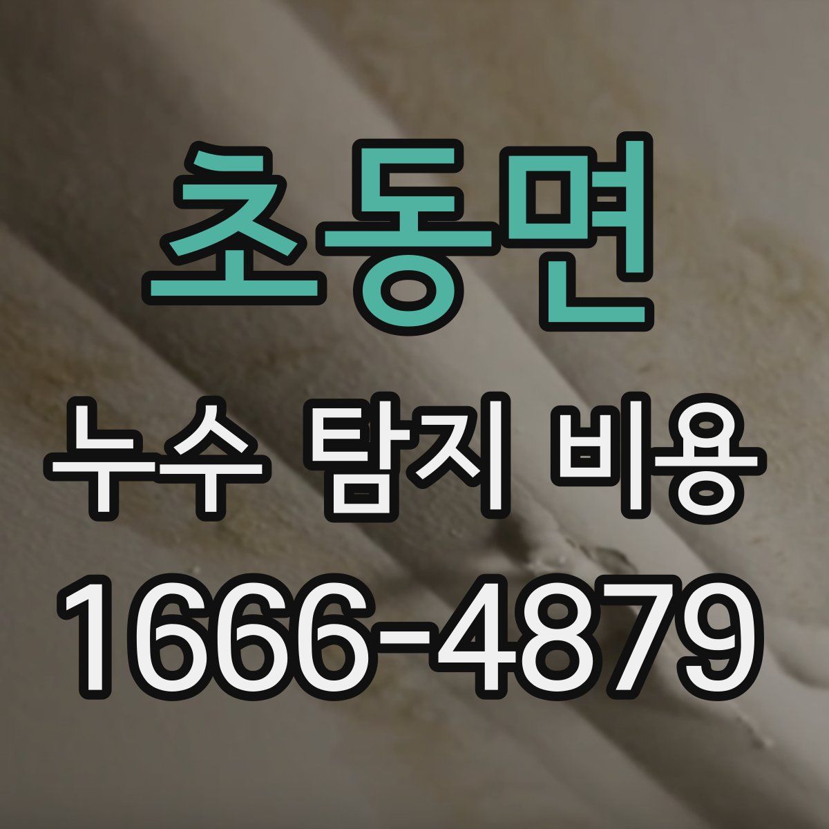 초동면 누수 탐지 비용
