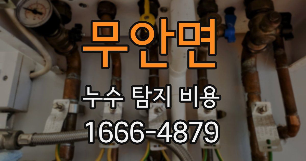 무안면 누수 탐지 비용