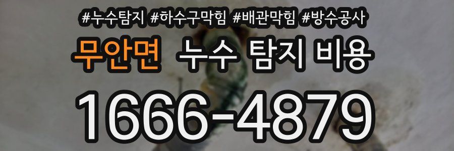 무안면 누수 탐지 비용