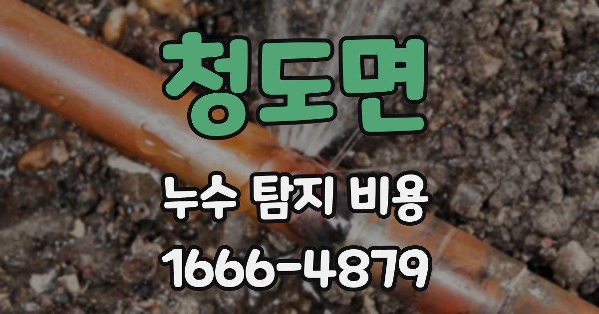 청도면 누수 탐지 비용