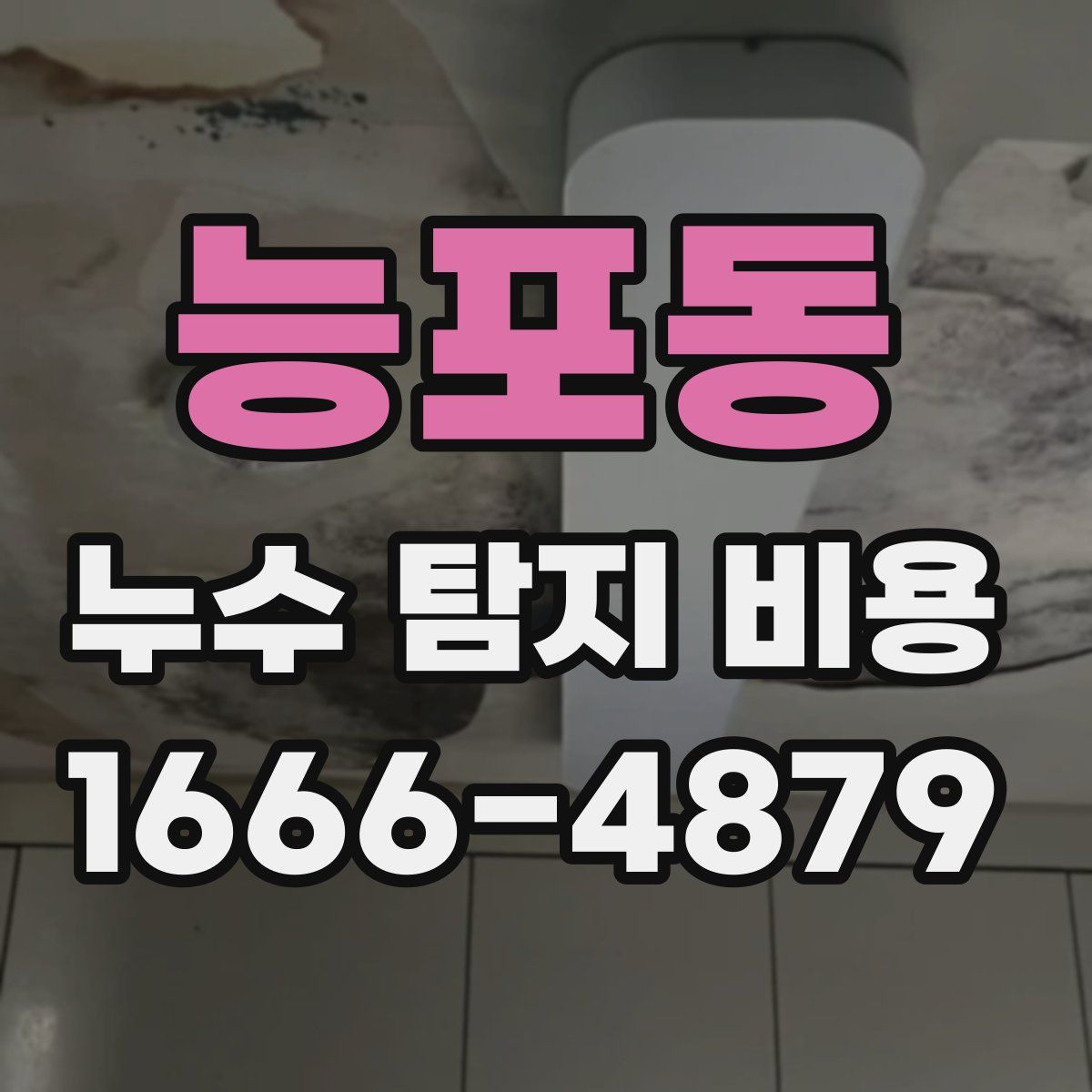 능포동 누수 탐지 비용