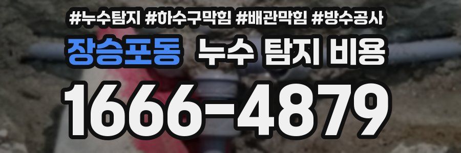 장승포동 누수 탐지 비용