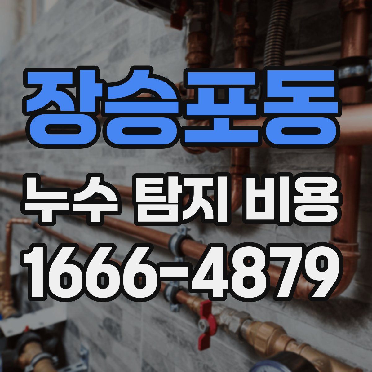 장승포동 누수 탐지 비용