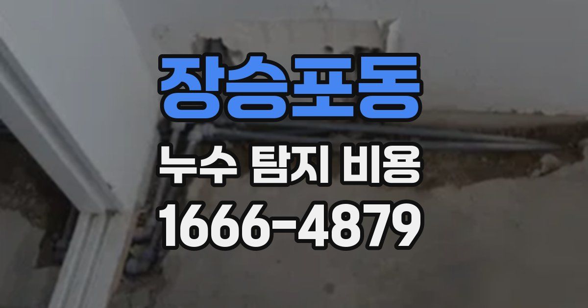 장승포동 누수 탐지 비용