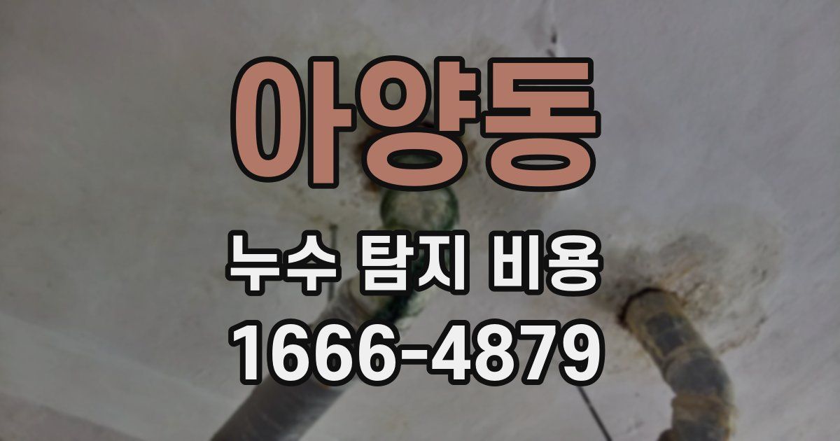 아양동 누수 탐지 비용