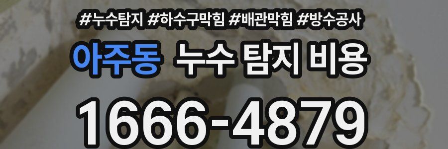 아주동 누수 탐지 비용