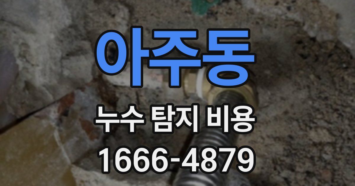 아주동 누수 탐지 비용