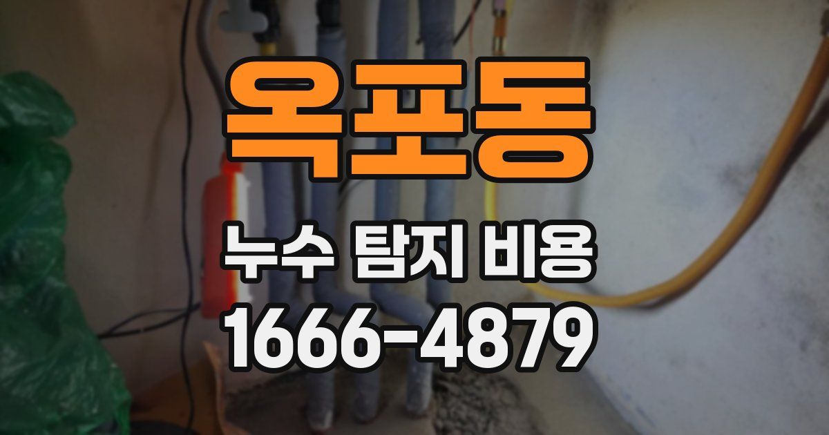 옥포동 누수 탐지 비용