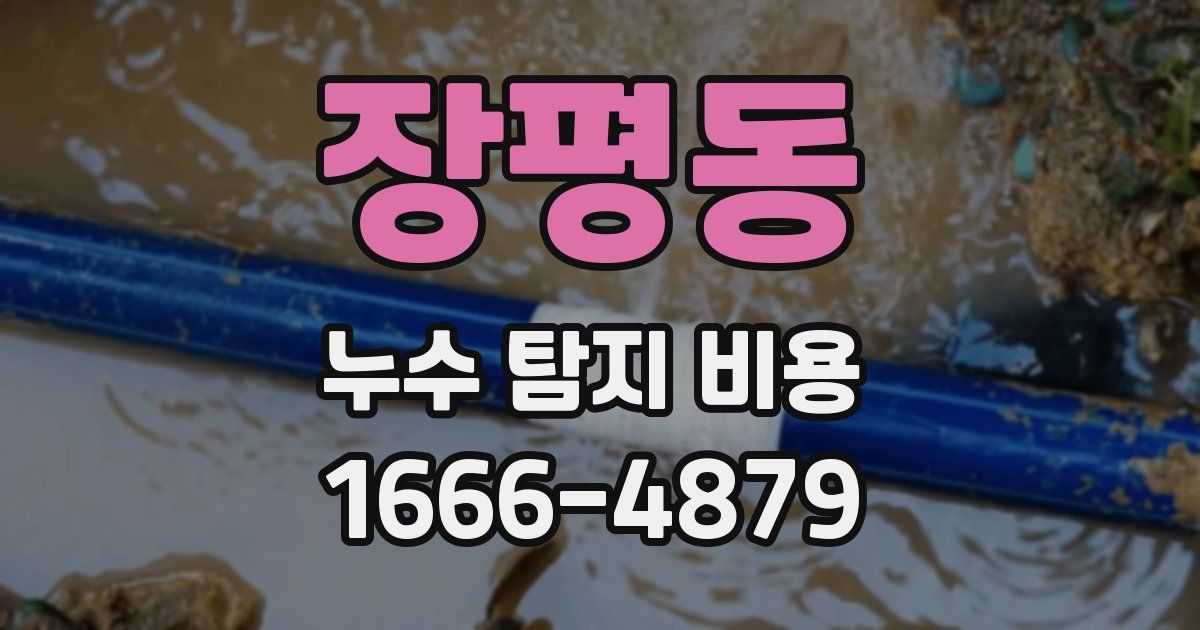 장평동 누수 탐지 비용